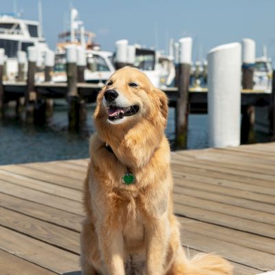 Champlin's Resort & Marina